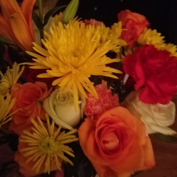 Meet your Posher, Diane - Picture 1 of 1